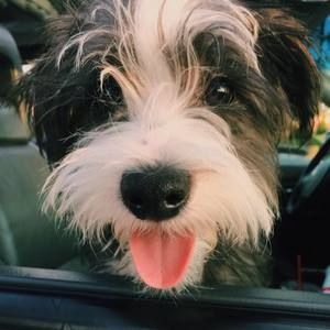 Meet your Posher, Kelli